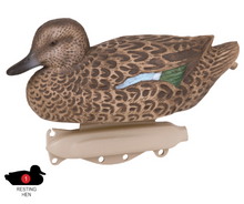 Load image into Gallery viewer, Flambeau Storm Front 2 Classic Blue-Winged Teal - 6 Pack