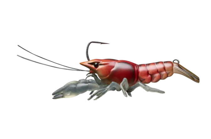 Live Target Live Craw