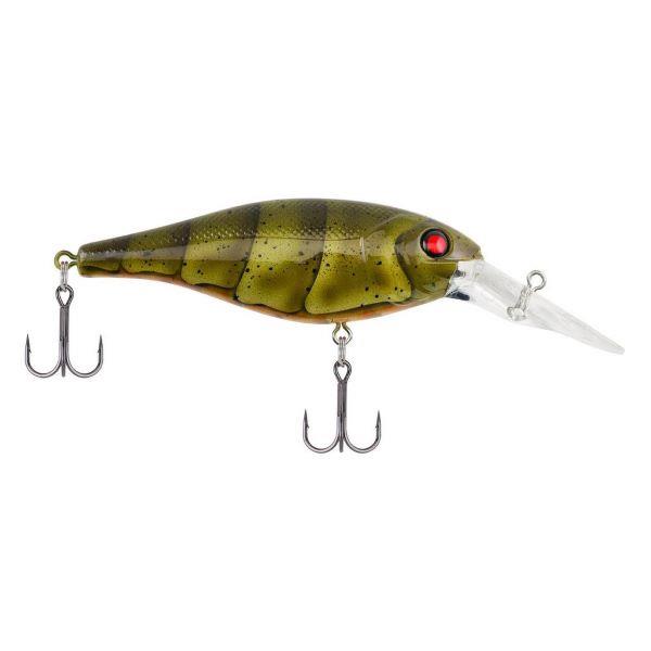 Berkley Frenzy Popper Topwater Fishing Lure THREADFIN SHAD – Toad Tackle